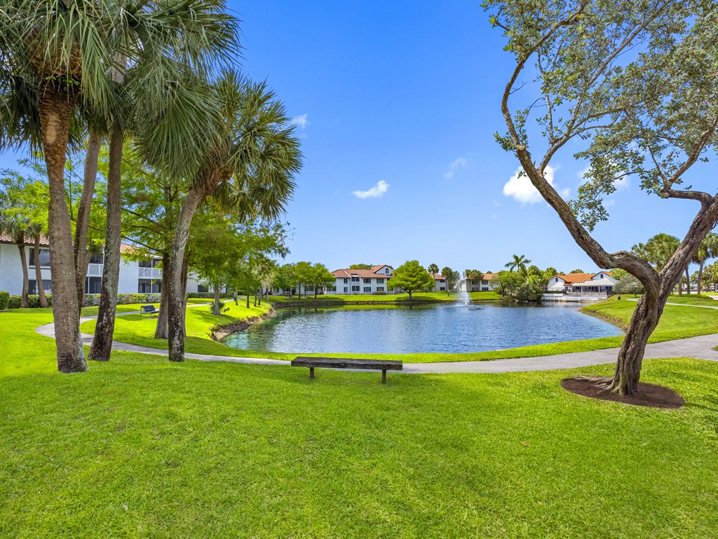 A park with a bench and a tree in the foreground and a lake in the background.